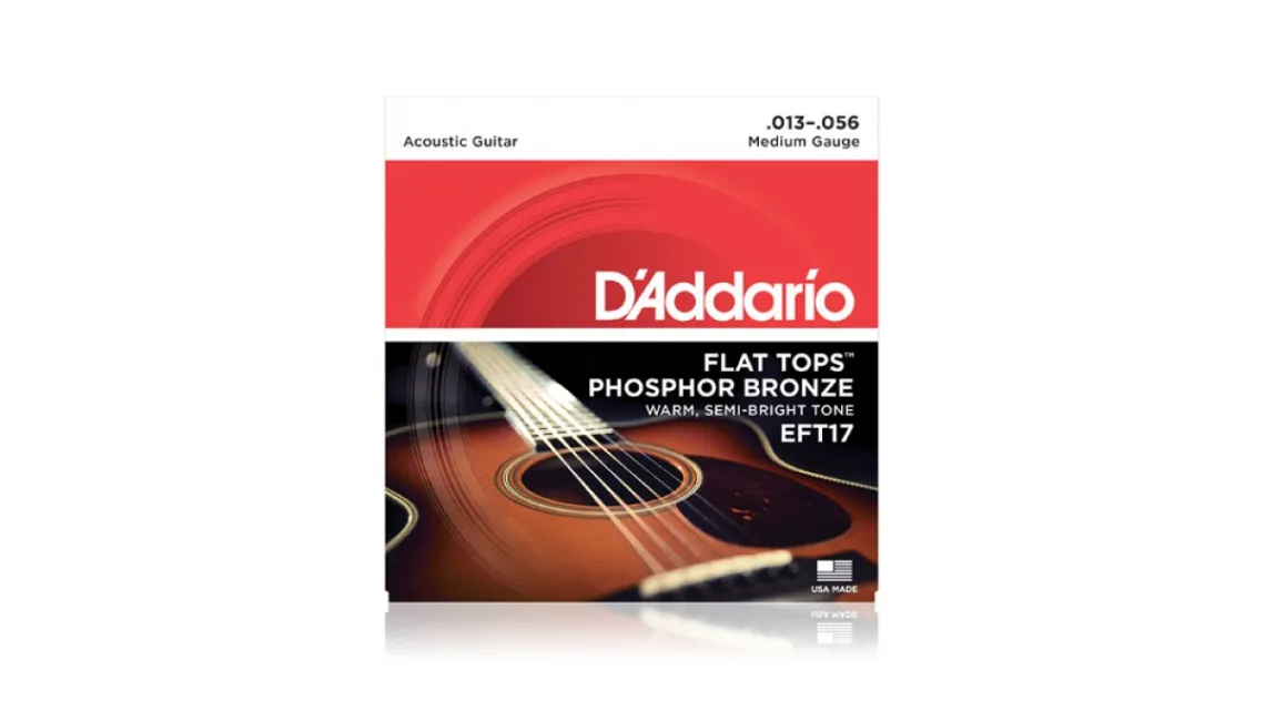 Daddario EFT17