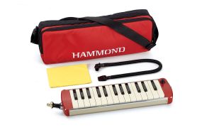 Hammond Melodion pro-27s