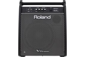 Roland PM-200 Aktive Monitorbox